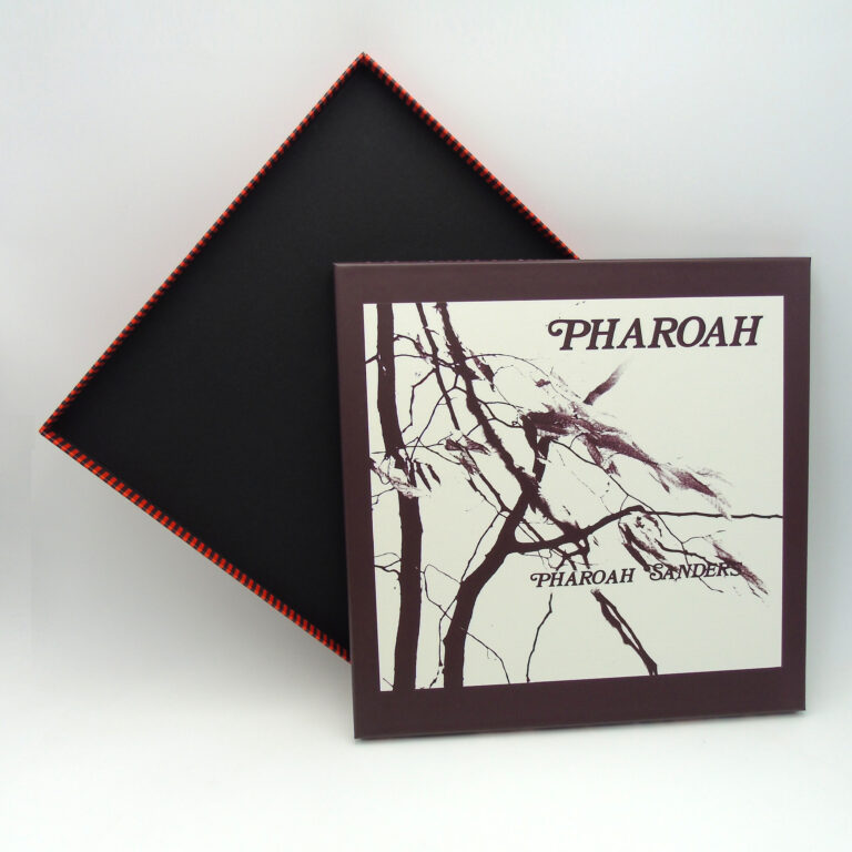 LP-Karton mit Disc-Holder im Deckel